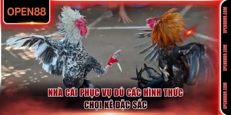 Nhà cái phục vụ đủ các hình thức chọi kê đặc sắc