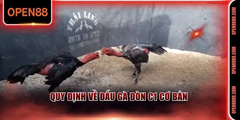 Quy định trong cá cược đấu gà đòn C1